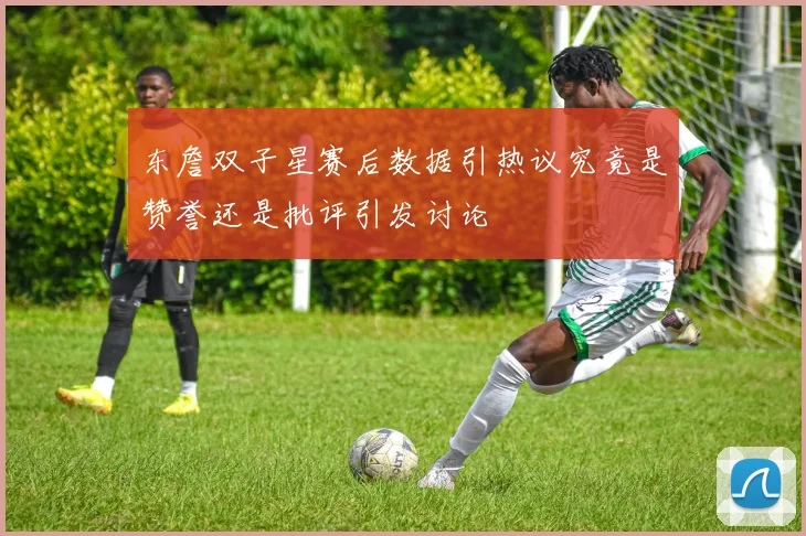 东詹双子星赛后数据引热议究竟是赞誉还是批评引发讨论